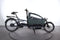 Riese & Müller Load 60 Vario