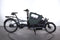Riese & Müller Load 60 Vario