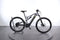 Lapierre Overvolt XC500i