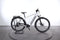Corratec E-Power MTC 12S Gent