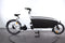 Urban Arrow Family Dual Battery