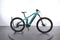 Haibike AllMtn 1