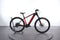 Trek Trek powerfly 5