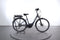 Trek Verve +1 Lowstep