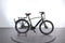 Reine Bike tulipe
