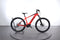 Trek Poxerfly 4