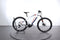 Haibike SDURO HardNine 5.0