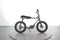 Ruff Cycles Lil'buddy