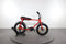 Ruff Cycles Lil'buddy