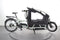 Riese & Müller Load4 75 vario