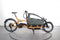 Riese & Müller Load4 60 touring