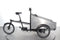 Black Iron Horse Polly - Taxi