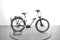 Raymon CrossRay E 5.0