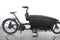 Urban Arrow Familiy Performance Plus