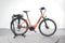 Trek Verve +1 Lowstep