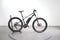 Orbea Wild 30