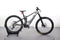 Orbea Wild H10