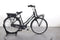 Gazelle MISS GRACE C7+
