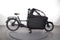 Riese & Müller Packster 70 Vario