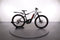 Haibike HARDSEVEN 9