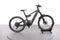 Riese & Müller Delite Mountain Touring