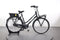 Gazelle MISS GRACE C7+ HMB