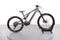 Specialized Turbo Levo Carbon