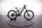 Bulls Sonic Evo AM 2 Carbon Er29