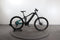 Haibike AllMtn 1