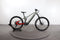 Haibike ALLMTN 4