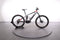 Trek Powerfly 5 FS
