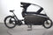 Urban Arrow Family Dual Battery