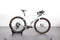 Specialized Diverge Expert Carbon