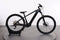 Trek Powerfly 4