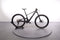 Scott Lumen eride