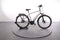 Raleigh Bristol Premium