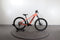 Trek Powerfly 4
