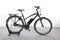 Riese & Müller Cruiser Mixte Vario