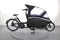 Urban Arrow Familiy Performance Plus