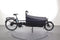 Riese & Müller Packster 80 Vario Urban