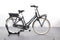 Gazelle MISS GRACE C7+ HMB