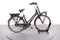 Gazelle MISS GRACE C7+