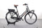Gazelle Miss Grace C7+ HMB