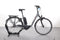 Raleigh Kingston 8