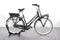 Gazelle MISS GRACE C7+ HMB