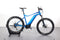 Giant FATHOM E+