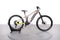 Haibike ALLMTN 2