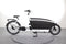 Urban Arrow Family Cargo Line
