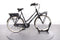 Gazelle MISS GRACE C7+