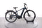 Pegasus Premio EVO 11 40 Years